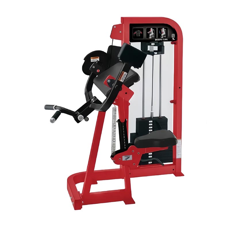 Válassza a Biceps Curl Machine lehetőséget